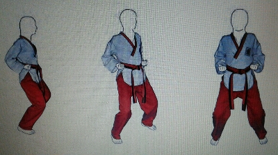 حرکات تکواندو