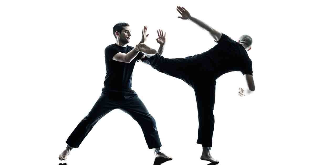 بهترین ورزش های رزمی در ایران